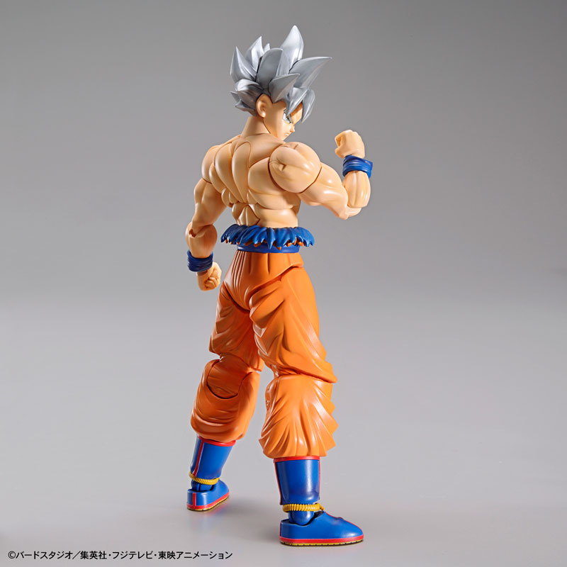 龍珠dragon ball 孫悟空 自在極意功 bandai spirits figure rise