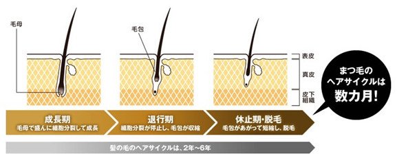 DHC 睫毛增长液 睫毛生长液 睫毛修护液 升级版 6.5ml商品描述