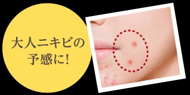 石泽研究所 澳柯浓 ACNE BARRIER 茶树集中护理精华液30ml商品描述