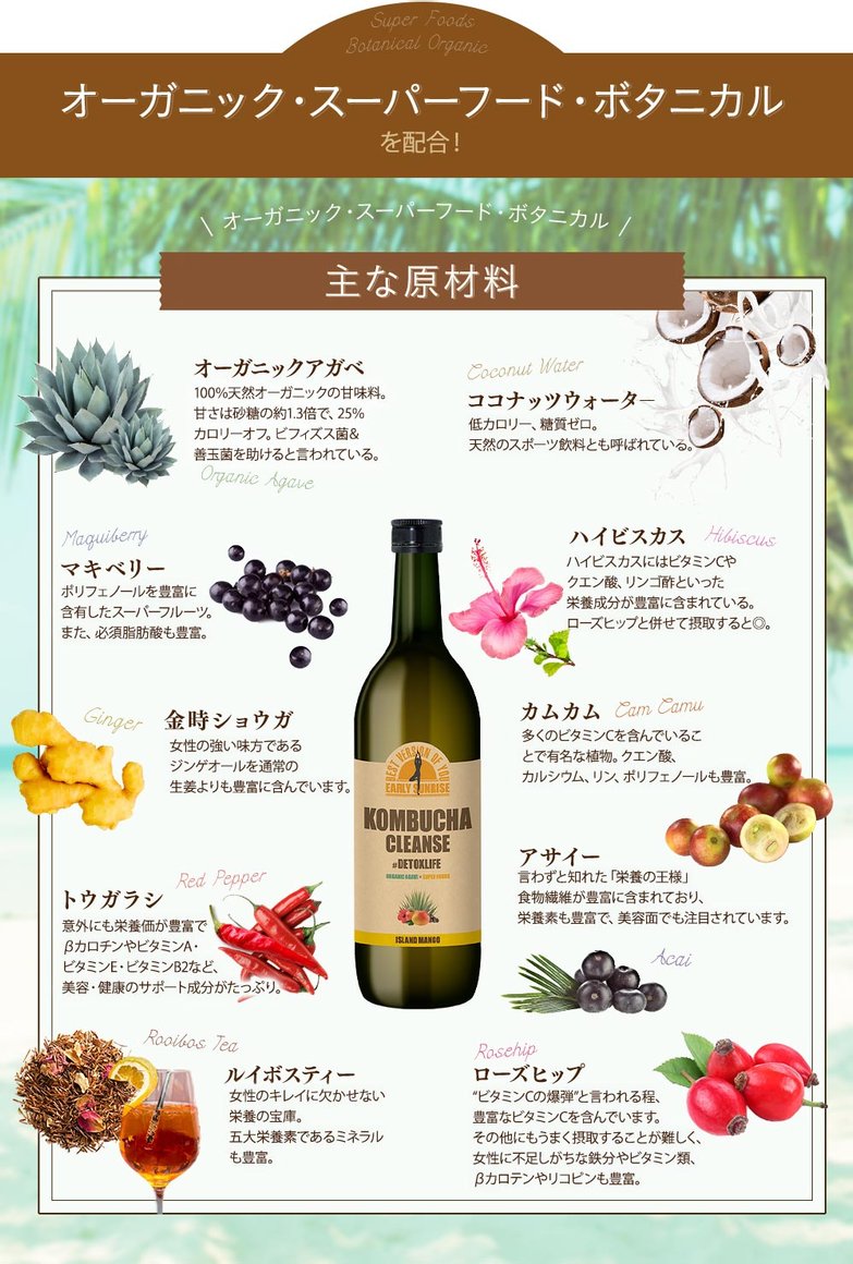 KOMBUCHA CLEANSE EARLY SUNRISE 康普茶 酵母茶饮 720ml商品描述