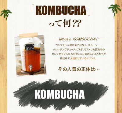 KOMBUCHA CLEANSE EARLY SUNRISE 康普茶 酵母茶饮 720ml商品描述