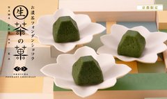 malebranche Matcha raw chocolate thumbnail