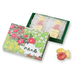 北海道 六花亭彩色森林系 3种口味12枚 花瓣巧缩略图