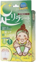 树之惠本铺 中村足美人脚底排毒天然树液足贴缩略图