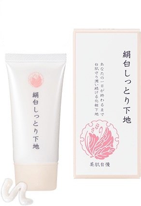 ウェイド飛び込む食物下地白馬鹿げたフレット教育者