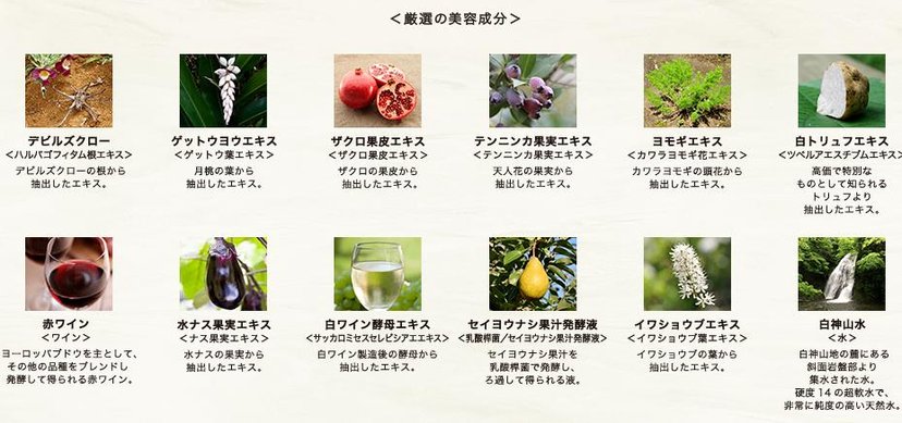 アルビオン EX-VIE GINZA SPECIA 40g The Legendary Japanese Skin-Care Product, Albion EX-Vie