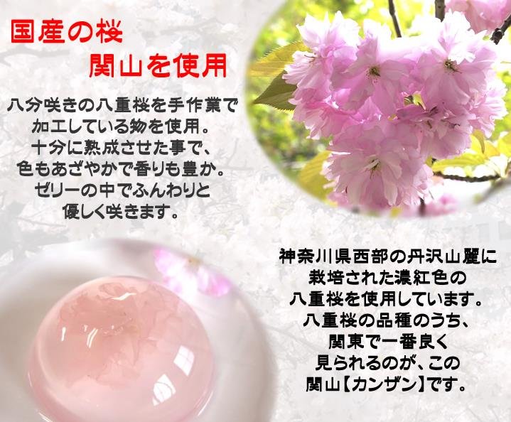 荣太楼樱花果冻樱花布丁春季限定 备货时间需10 15天 美国 日本代购直邮 Hommi