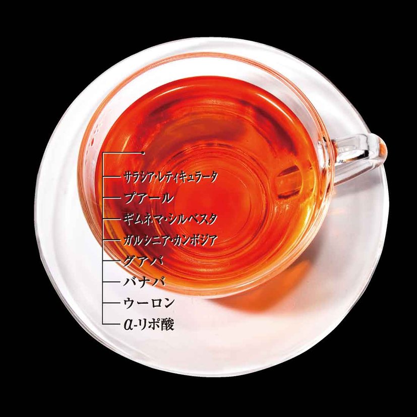 Esthe Pro Labo diet Herb Tea Pro F-blocker-United States