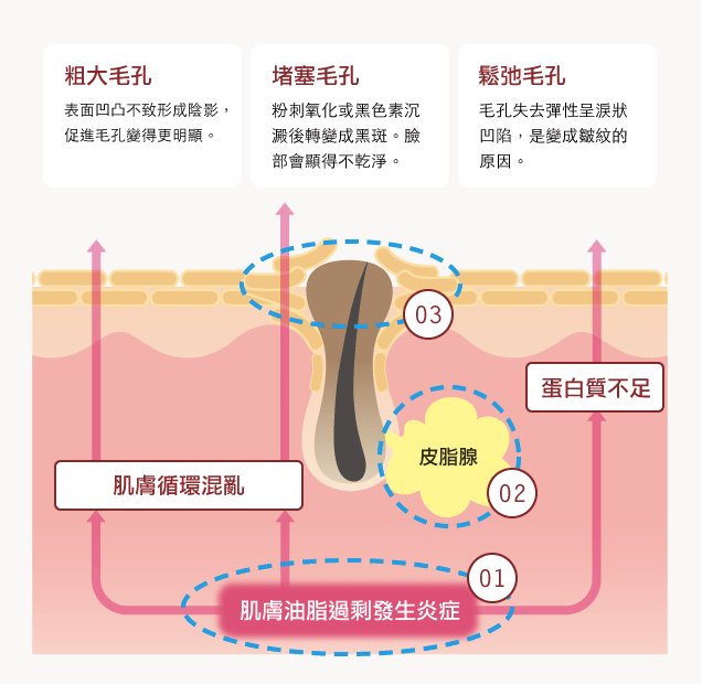 Duo 麗優先行型美容液毛孔淨透w前導精華30ml 加拿大 日本代購直送 Hommi