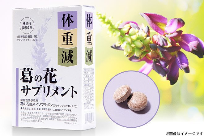 Toyo Shinyaku Kudzu Flower Supplement 1pills Japan Online Shopping Hommi