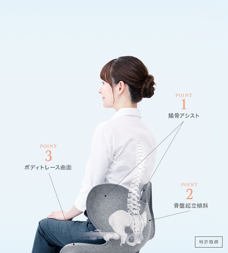 MTG Style Standard Pelvic support chair-United States - Japan