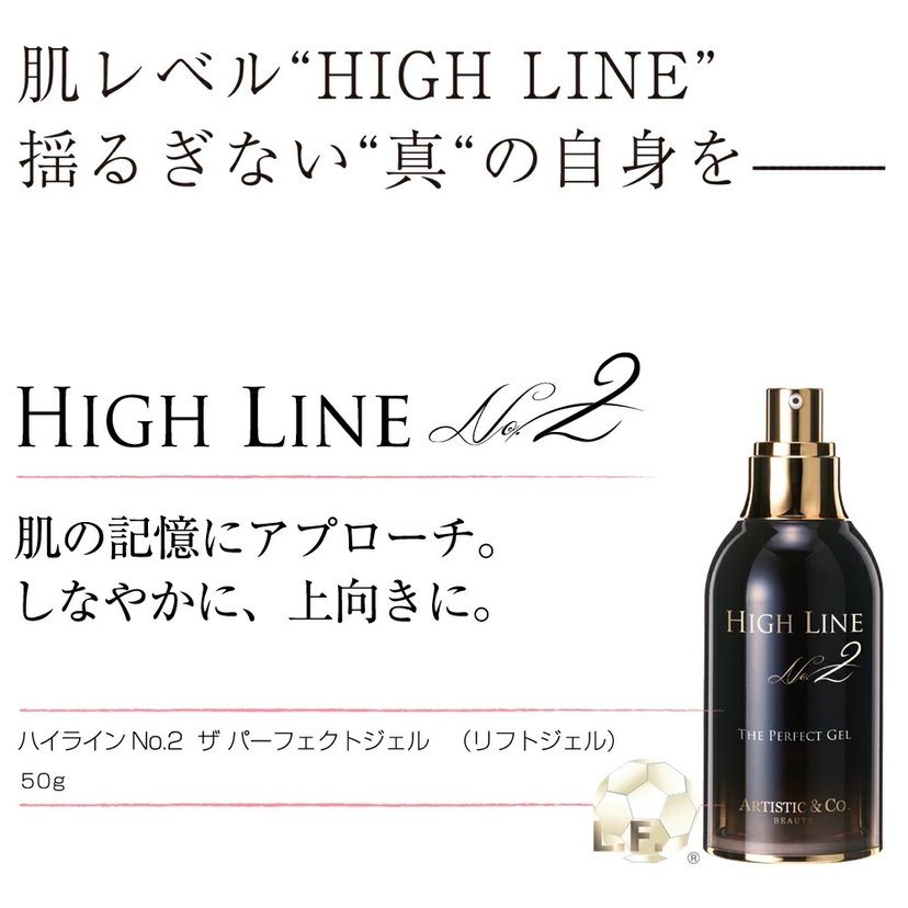k*☆様 ARTISTIC & CO. HIGH LINE No.2 50g Artistic＆Co. HIGH LINE NO.2 THE PERFECT GEL 50g-United States