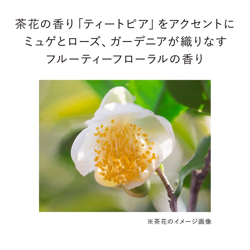Kanebo LIVELY SKIN WEAR 30g-United States-Japan Online Kanebo LIVELY SKIN WEAR 30g-United States-Japan Online