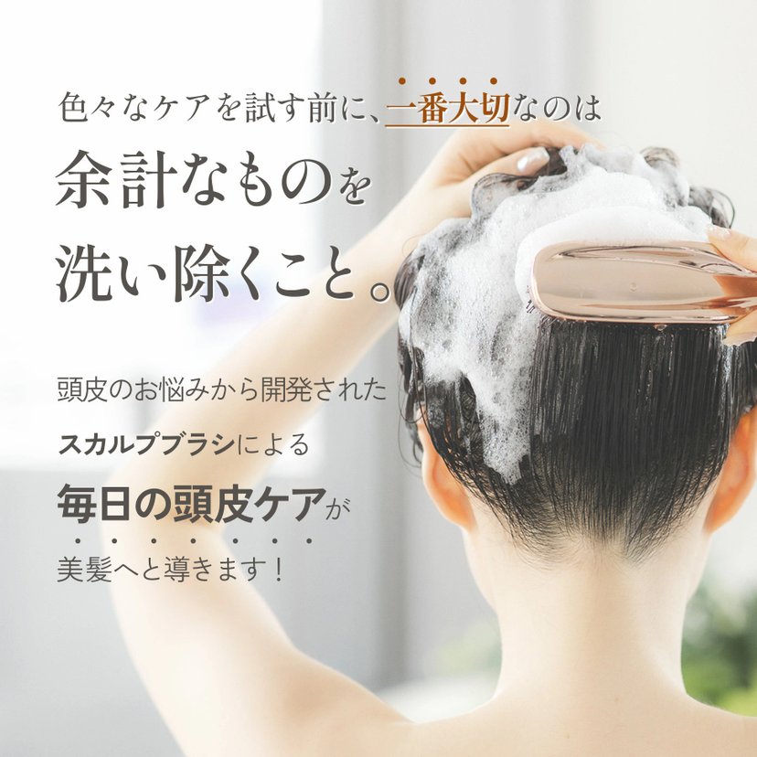 WiLLA THE BRASHU DR SCALP Care Brush-Japan Online Shopping - Hommi