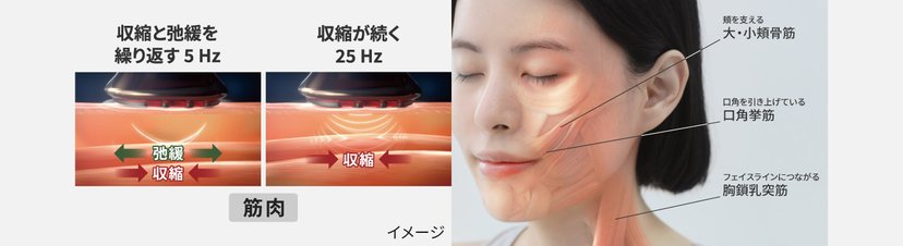 Panasonic Lift Care Vitalift RF EX EH-SR86 Beauty Device-United
