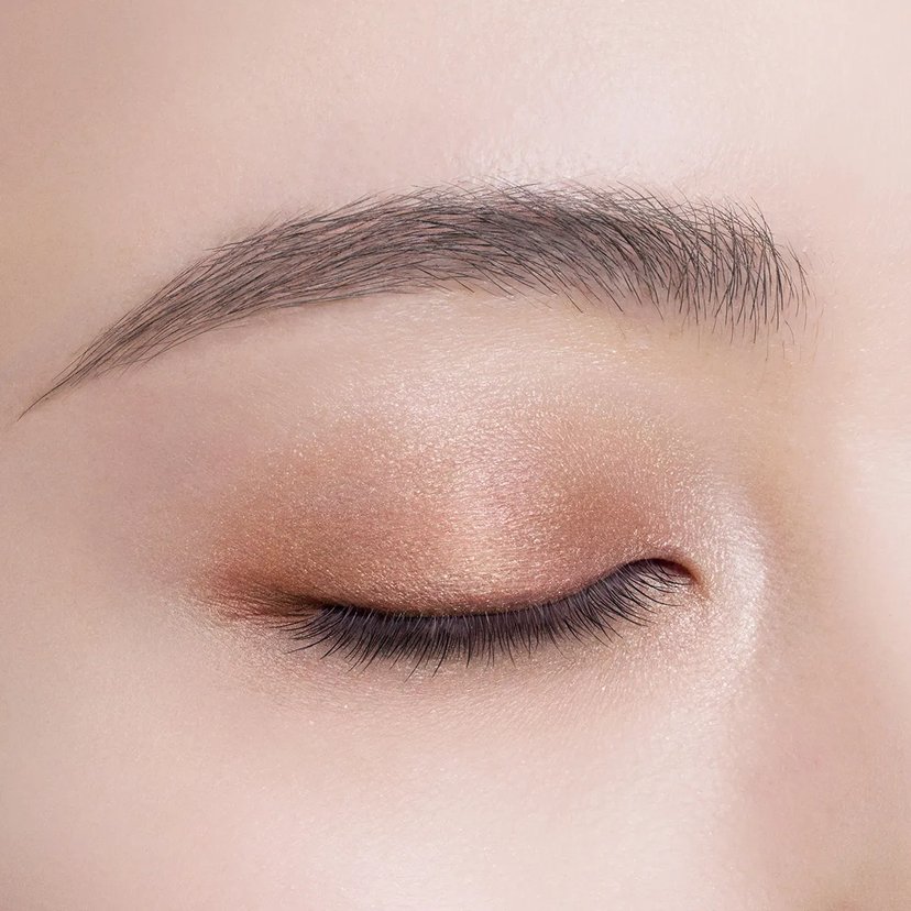 DECORTE Skin Shadow Designing Palette-Germany - Japan Online