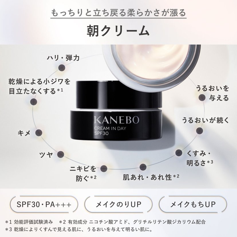 Kanebo CREAM IN DAY II 40g SPF30 PA+++-Hong Kong-Japan Online