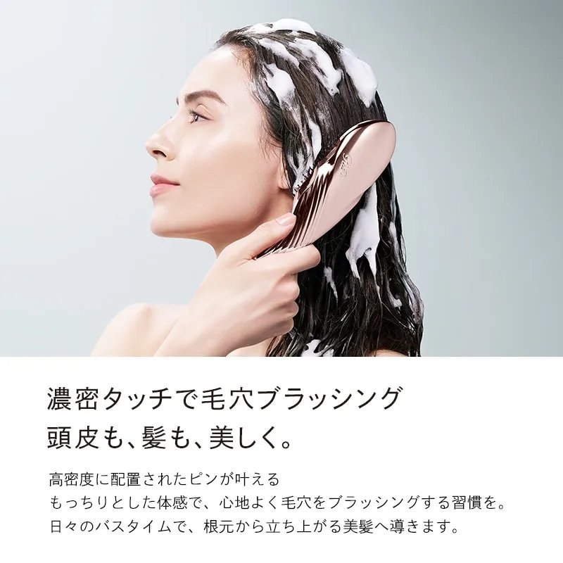 ReFa ION CARE BRUSH PREMIUM-United States - Japan Online Shopping